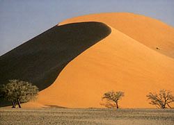 Dsert du Kalahari (Nanibie)