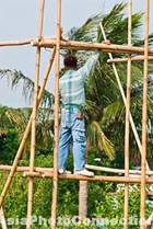bamboo scaffolding7.jpg